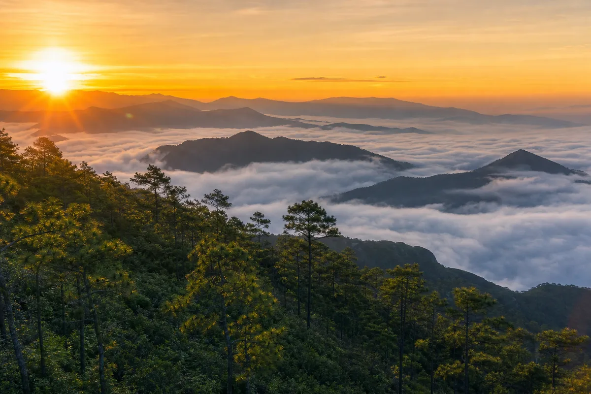 ฤดูหนาว 2569 เที่ยวไหนดี? 5 จุดหมายในไทยที่อากาศเย็นจริง ไม่แออัด ยังจองได้