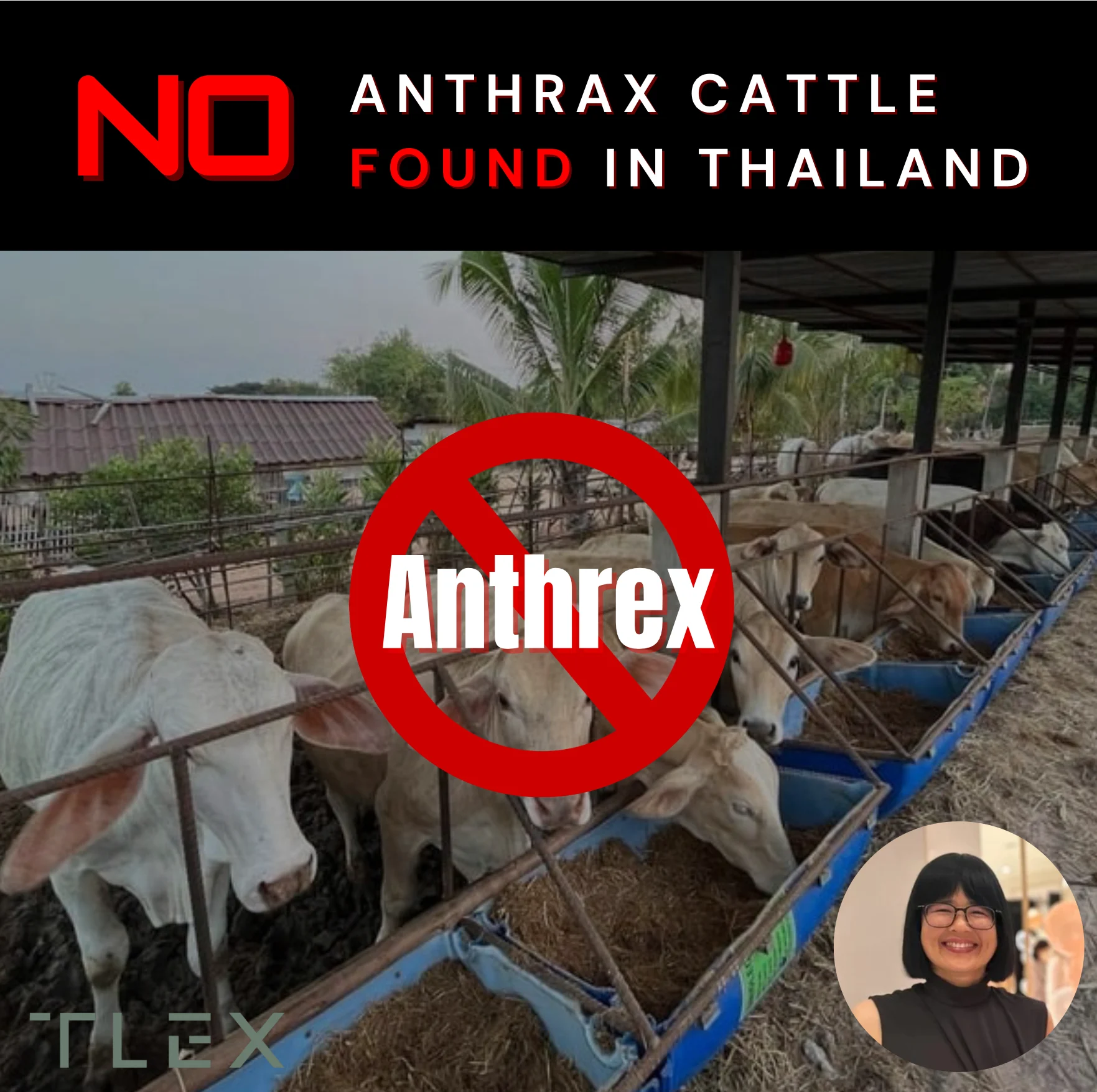 สมาคมผู้ส่งออกฯ ปศุสัตว์ไทยย้ำ “โคไทยปลอดแอนแทรกซ์”