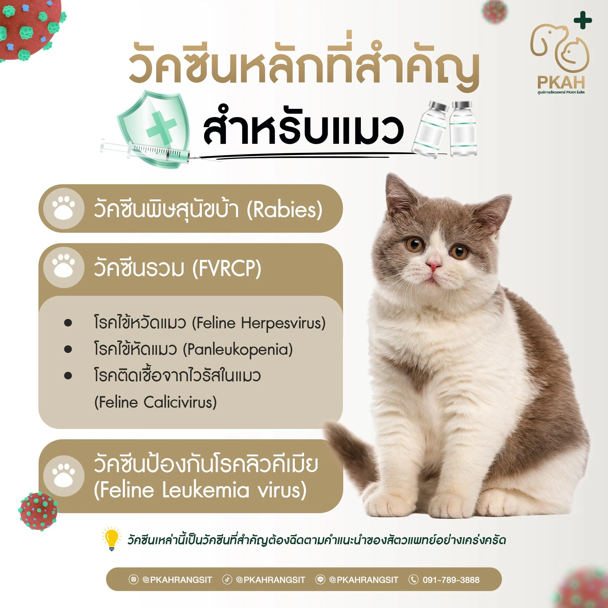 ศูนย์เวชกรรมป้องกันในสัตว์เลี้ยง (Preventive Medicine Center for Pets) - ศูนย์การสัตวแพทย์ PKAH รังสิต 