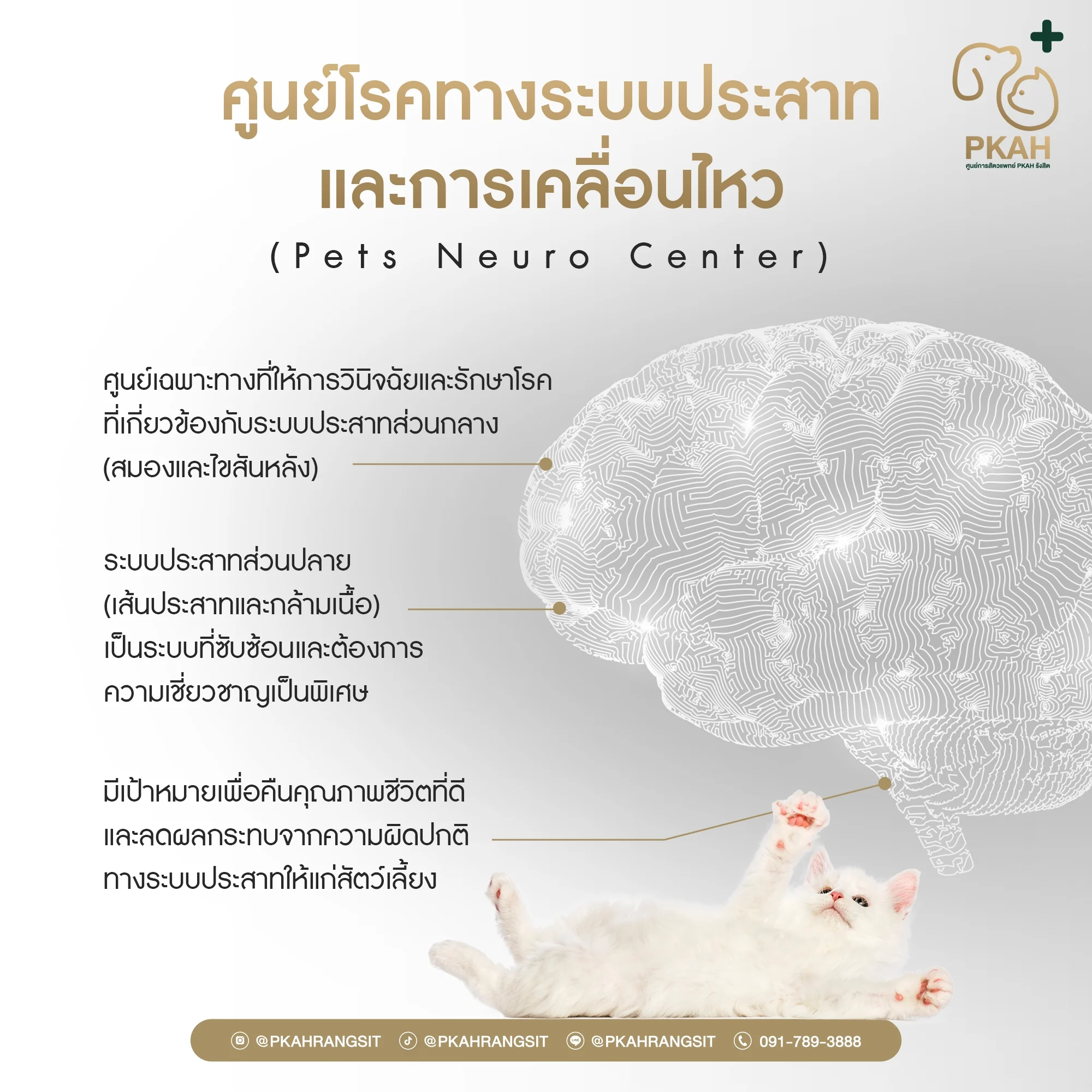 ศูนย์โรคทางระบบประสาทและการเคลื่อนไหว ศูนย์การสัตวแพทย์ PKAH รังสิต