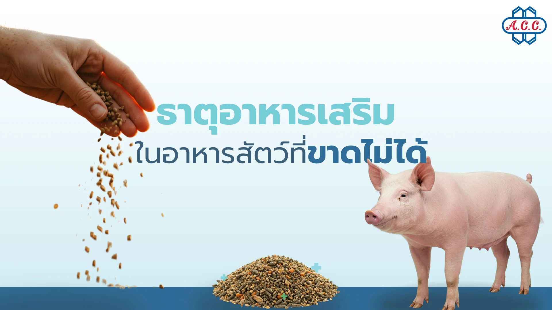 คอปเปอร์ซัลเฟต ธาตุอาหารเสริมที่อุตสาหกรรมอาหารสัตว์ขาดไม่ได้