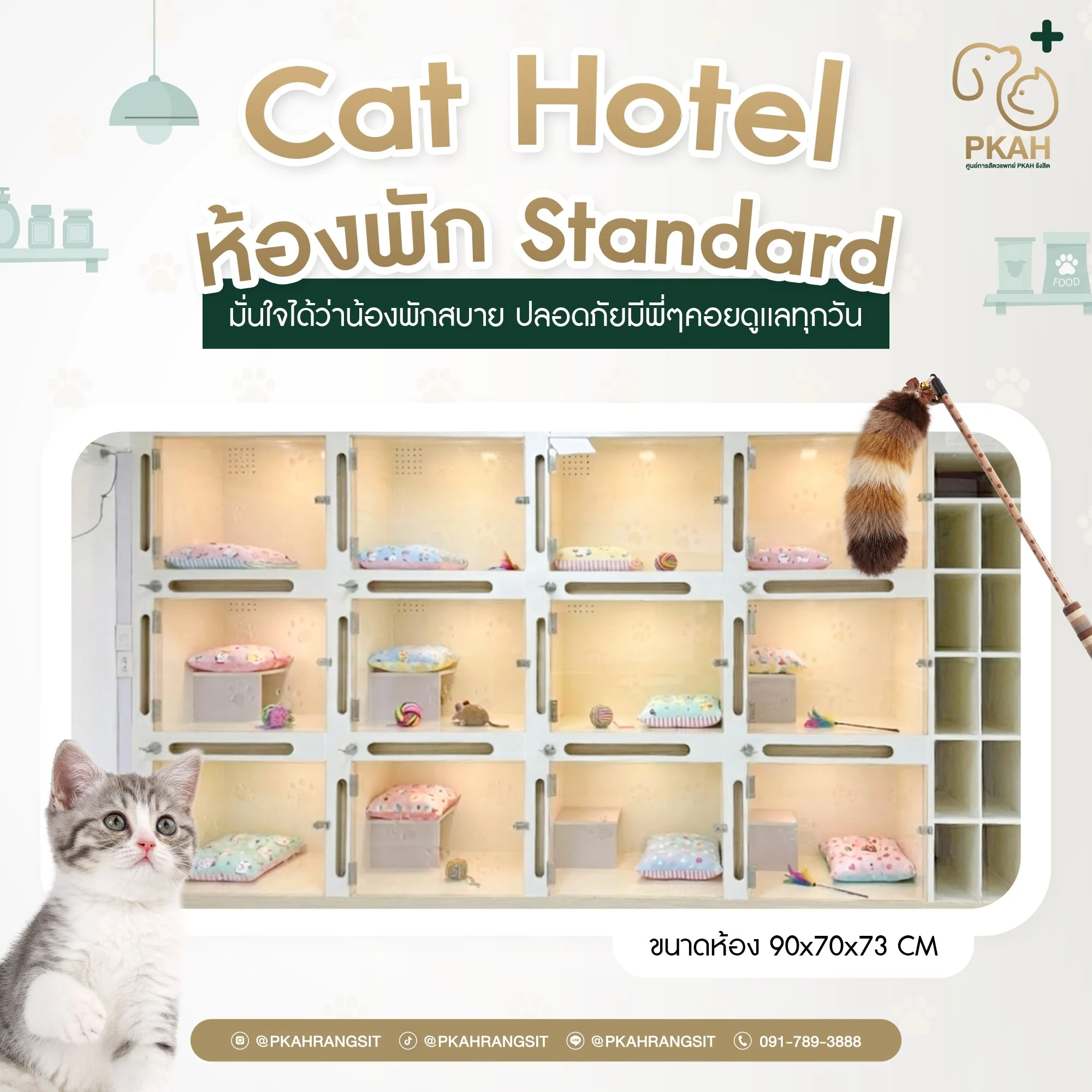 บริการรับฝากเลี้ยงน้องแมว - ศูนย์การสัตวแพทย์ PKAH รังสิต