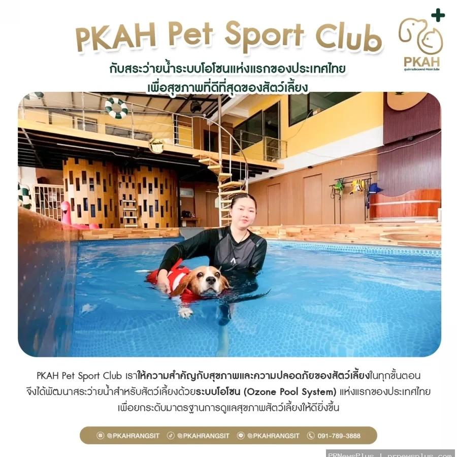 PKAH Pet Sport Club กับสระว่ายน้ำระบบโอโซนแห่งแรกของประเทศไทย เพื่อสุขภาพที่ดีที่สุดของสัตว์เลี้ยง