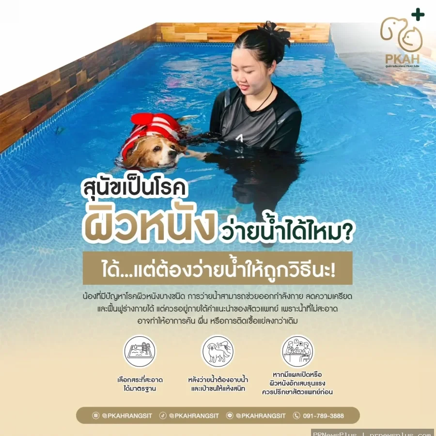 สุนัขเป็นโรคผิวหนัง ว่ายน้ำได้ไหม?  ได้…แต่ต้องว่ายน้ำให้ถูกวิธีนะ!