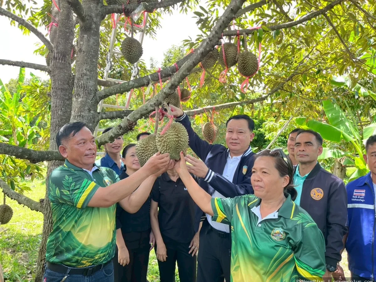 “บุกสวน ชวนฟิน กินทุเรียนนาป่า” เกษตรเมืองเพชรบูรณ์หนุนท่องเที่ยวเชิงเกษตร สร้างรายได้สู่ชุมชน
