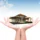 The Home Guide TH