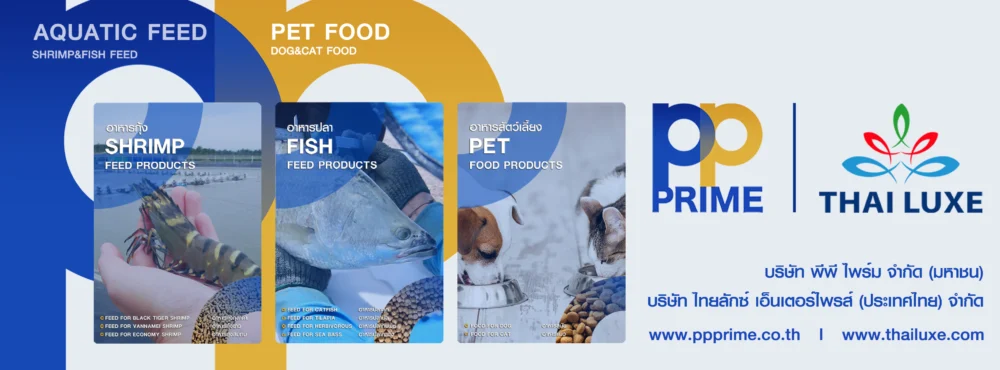 PP PRIME - THAI LUXE